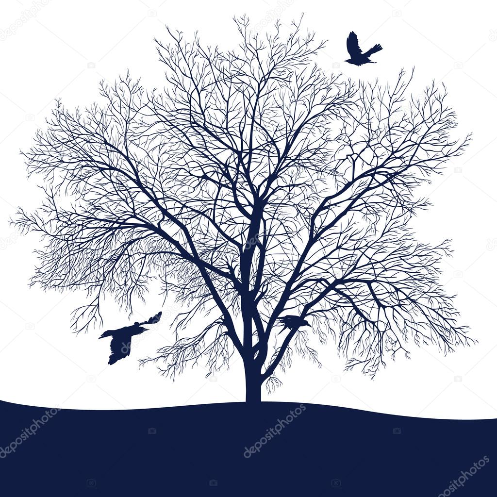 Black crow on tree