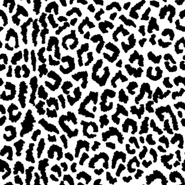Leopard Spotlar