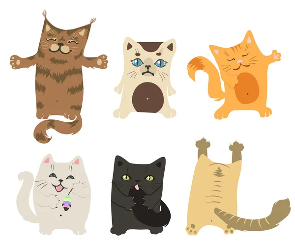 Funny cats — Stock Vector