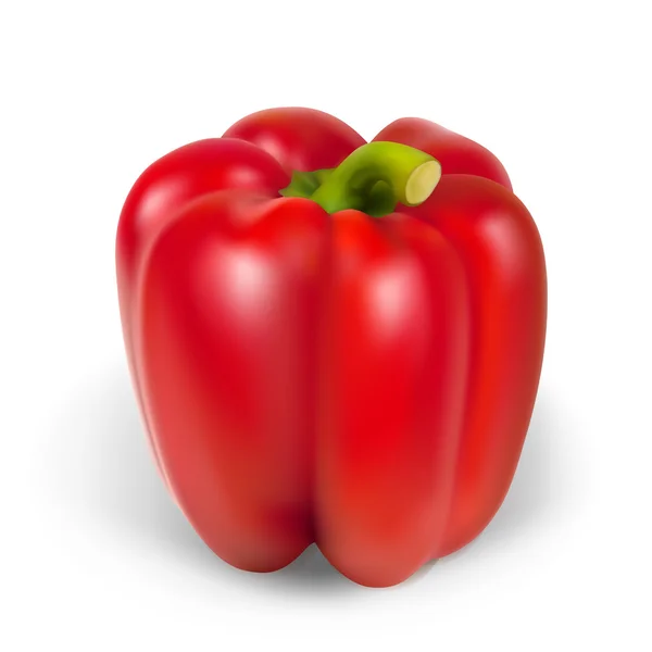 Realistische peper — Stockvector