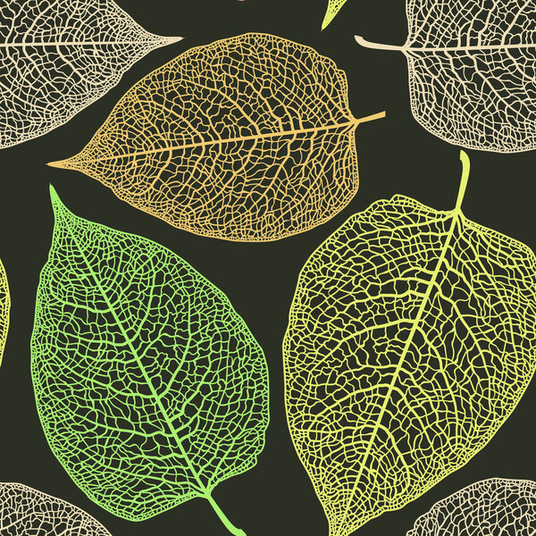 leaf skeleton pattern