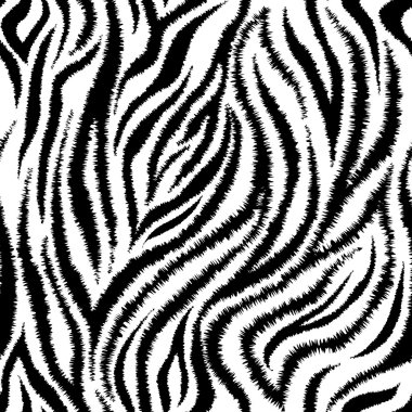 Zebra çizgili seamless modeli