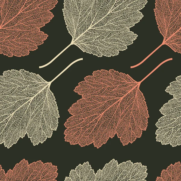 Hawthorn leaf skeleton pattern — Stock Vector