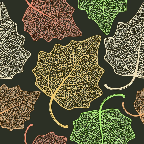 Візерунок скелета листя тополя — стоковий вектор