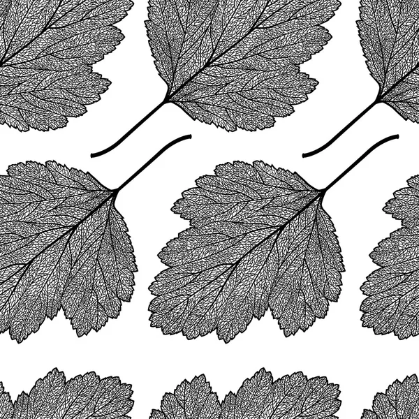 Візерунок скелета листя глоду — стоковий вектор