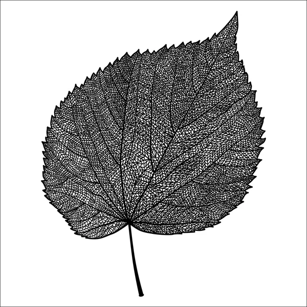 해당된 잎 벡터 — 스톡 벡터