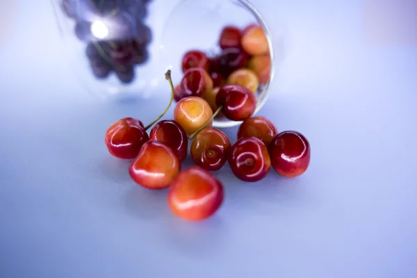 Red and yellow cherries spilled from the glass — Stock Photo, Image