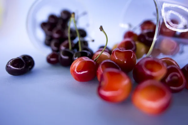 Krásné čerstvé třešně na stůl — Stock fotografie