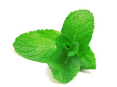 Yeşil nane yaprakları