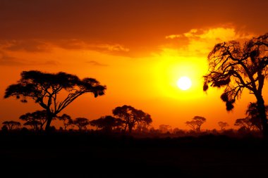 Tipik Afrika günbatımı