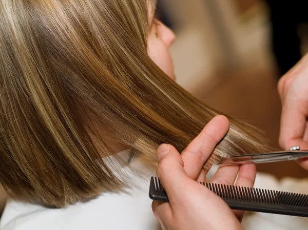 Mujer corte de cabello —  Fotos de Stock