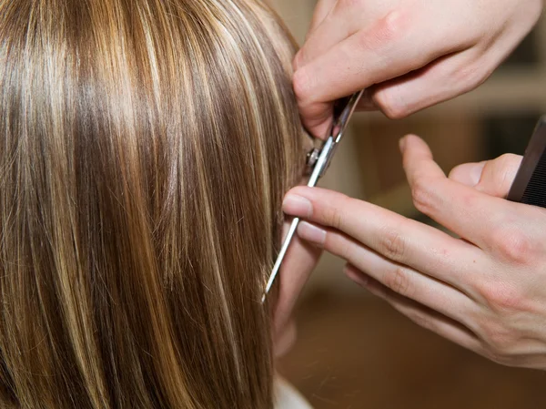 Cortar el cabello de la mujer —  Fotos de Stock