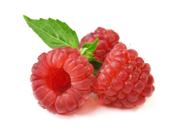 Red ripe Raspberries — Stock Photo, Image