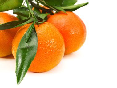 Taze olgun mandalina
