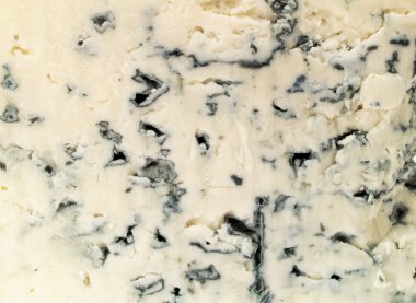 mavi peynir arka plan