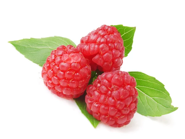 Ripe red raspberries — Stock Photo, Image