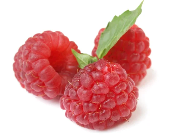 Fresh red Raspberries — Stock Photo, Image