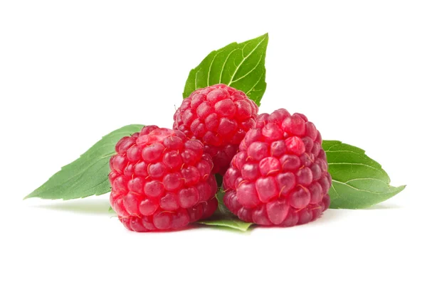 Ripe red raspberries — Stock Photo, Image