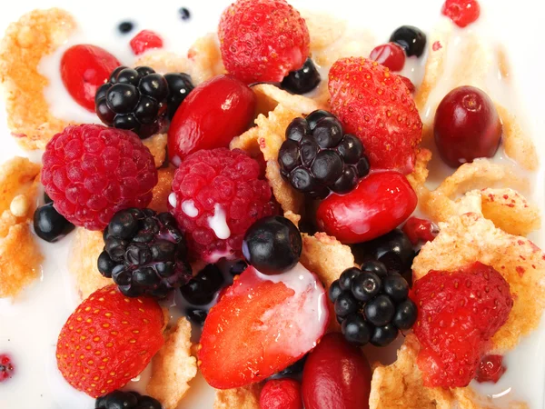 Cereal breakfast with berries — Stock Photo, Image