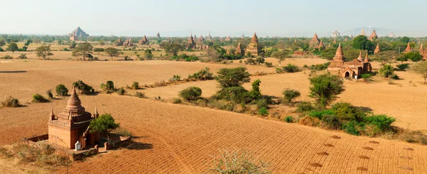 Panorama de Bagan, Myanmar — Photo