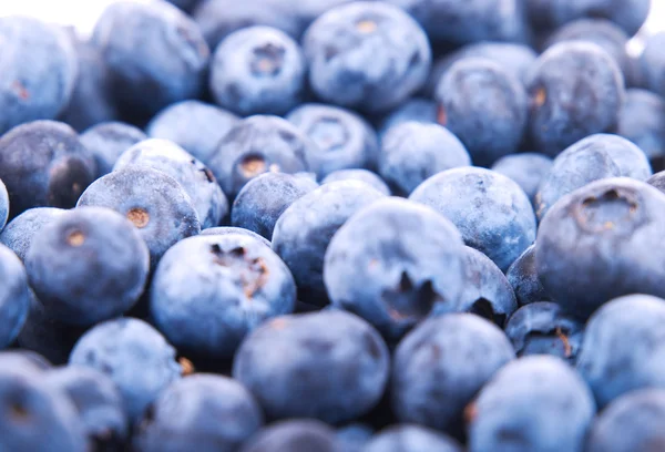 Ripe Blueberries pile — Stock Photo, Image