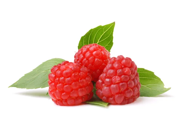Red ripe Raspberries — Stock Photo, Image