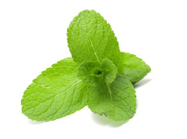 Yeşil nane yaprakları