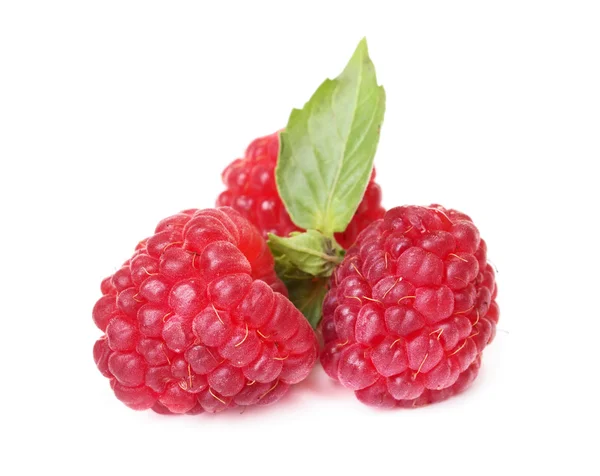 Ripe red Raspberries — Stock Photo, Image