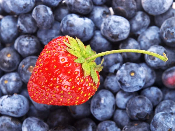 Strawberry on blueberries background — Stock Photo, Image