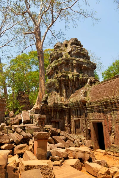 Ta prohm ruínas, Angkor Wat, Camboja — Fotografia de Stock