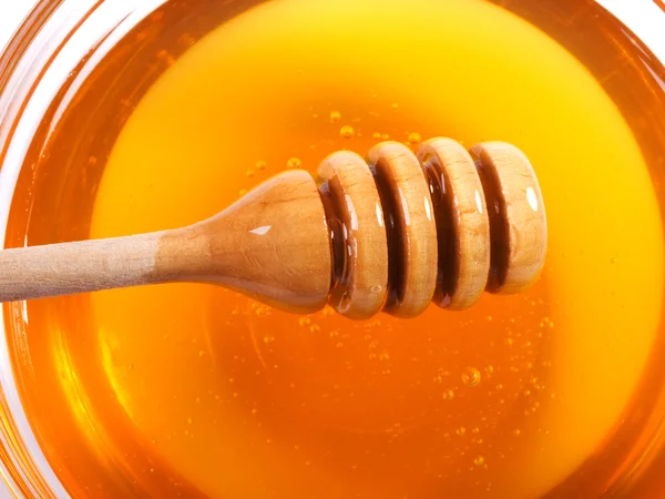 Méz tál vízirigó — Stock Fotó