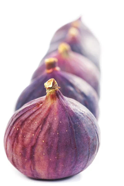 Dojrzałe figi z rzędu — Zdjęcie stockowe