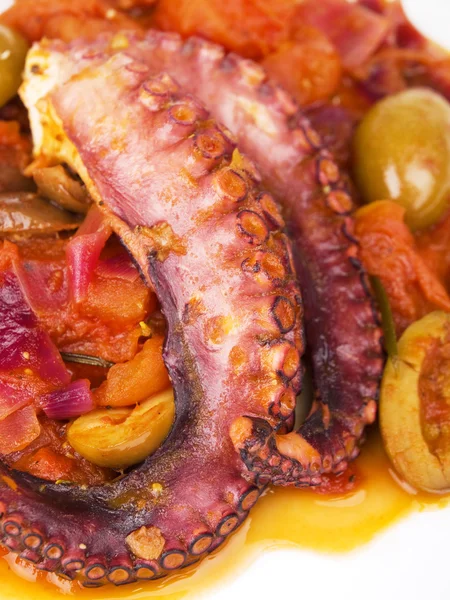 Octopus met tomatensaus en olijven — Stockfoto