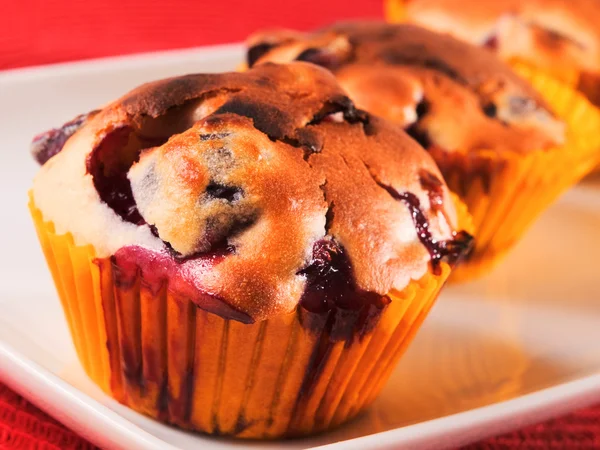 Sweet Cranberry cupcakes — Stock Photo, Image