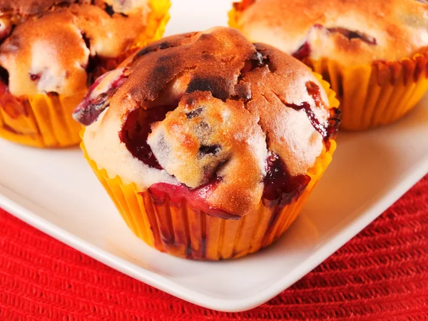 Γλυκό Cranberry cupcakes — Φωτογραφία Αρχείου
