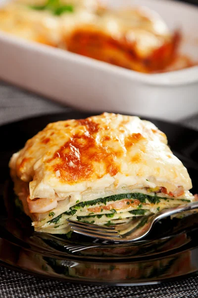 Typische Italiaanse lasagne — Stockfoto