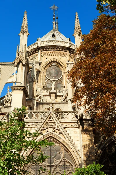 Notre-Dame, paris — Photo