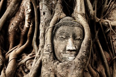 Ayutthaya şekilde Buda