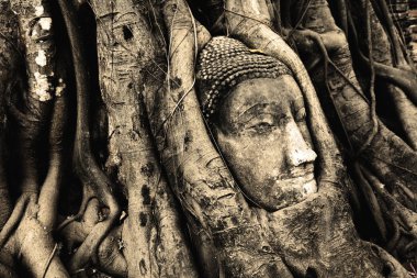 Ayutthaya şekilde Buda