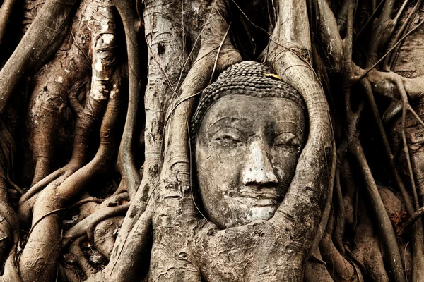 Figura de Buda en Ayutthaya — Foto de Stock