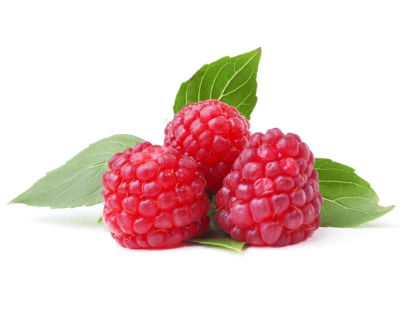 Ripe raspberries isolated on white — Stock Photo, Image