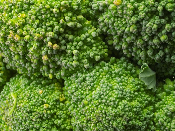 Zelená čerstvá brokolice — Stock fotografie