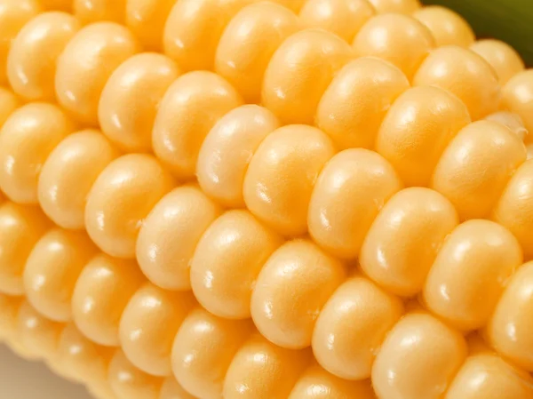 Z bliska białej kukurydzy — Zdjęcie stockowe