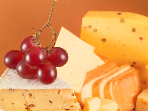 Cheese and red grape — Stock Photo, Image