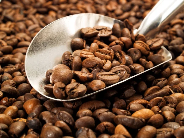 Kávová zrna v lžičce — Stock fotografie