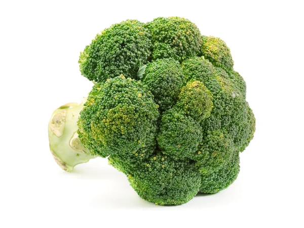 Fresh green Broccoli — Stock Photo, Image