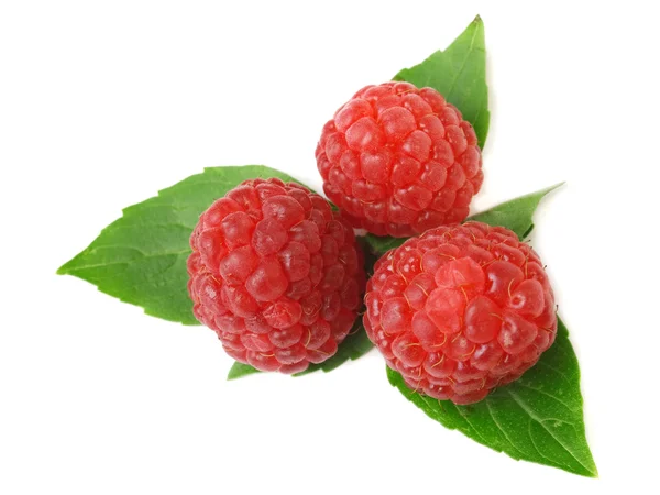 Ripe raspberries isolated on white — Stock Photo, Image