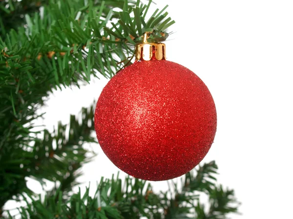 Red ball on Christmas tree — Stock Photo, Image