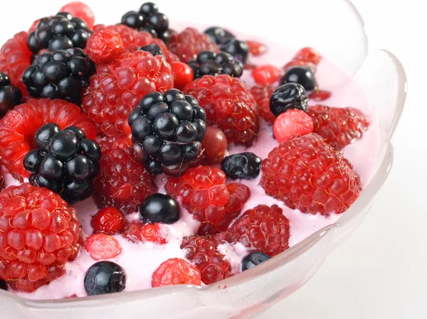 Yogur de bayas en un tazón —  Fotos de Stock