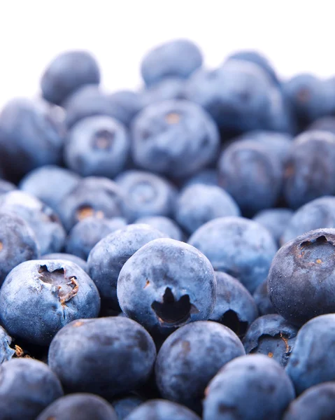 Blueberries pile background — Stock Photo, Image